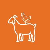 Ziegen & Hühner